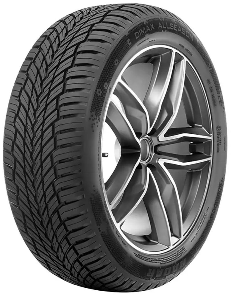 205/55R16 91V Radar Dimax All Season Ev